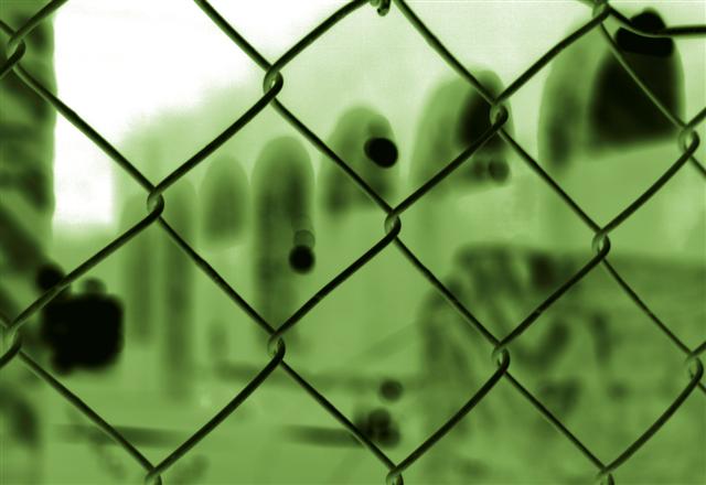 FenceGreen.jpg