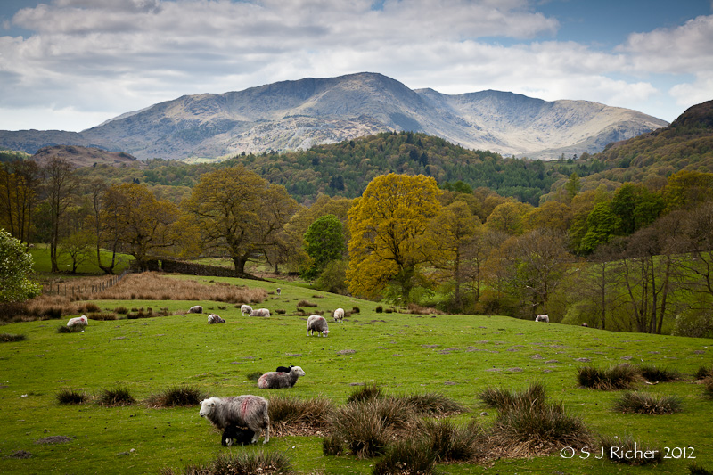 Towards Lingmoor Fell