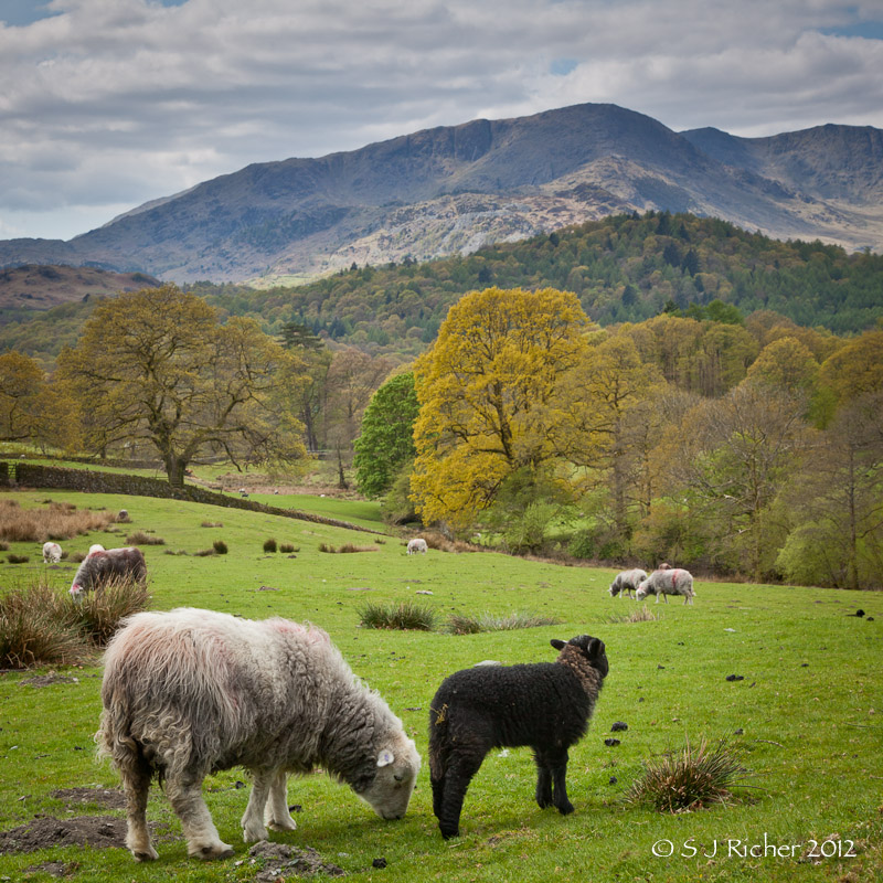 A Lake District Landscape #1