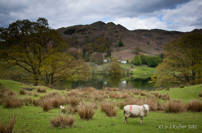 Loughrigg Fell