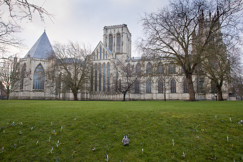 Minster Gardens