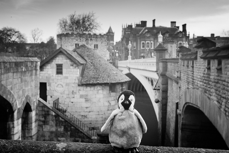 Postern Tower and Lendal Bridge 2