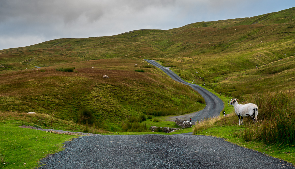 Swaledale