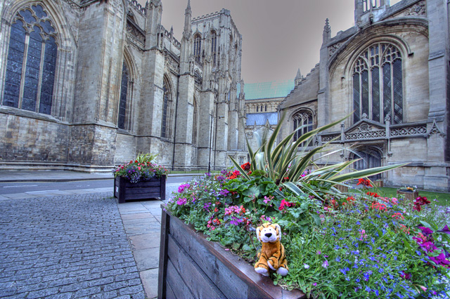 At the Minster.