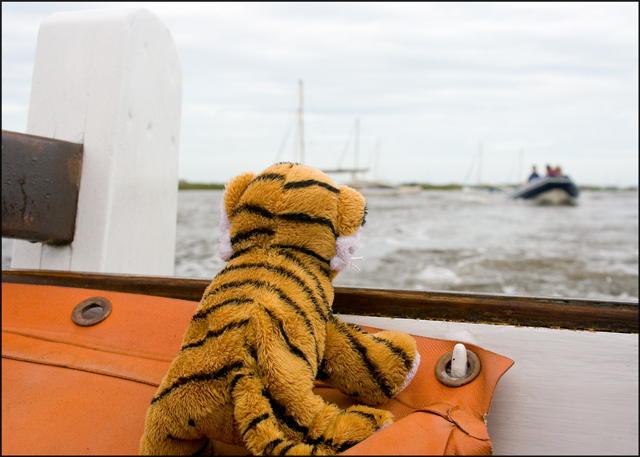 Looking-Out-to-Sea.jpg