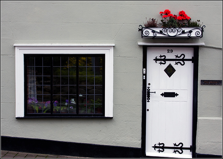 Geraniums