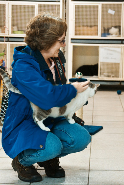 Roman Cat Sanctuary