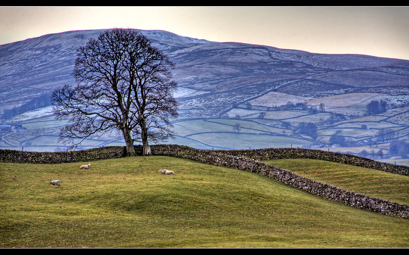 Over Wensleydale