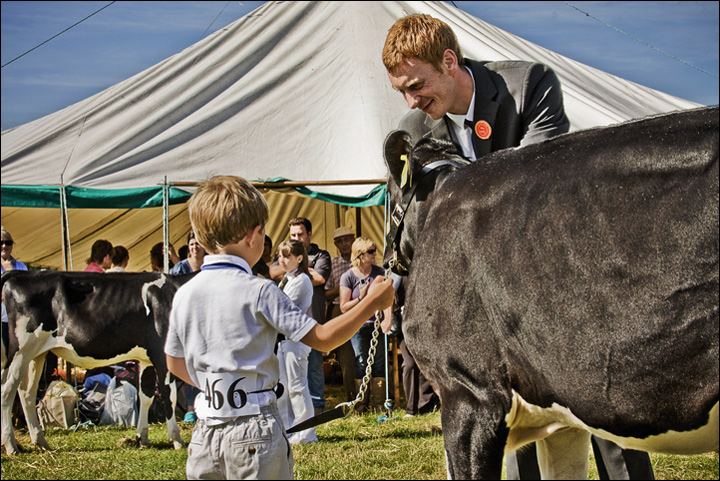 A Boy and His Calf