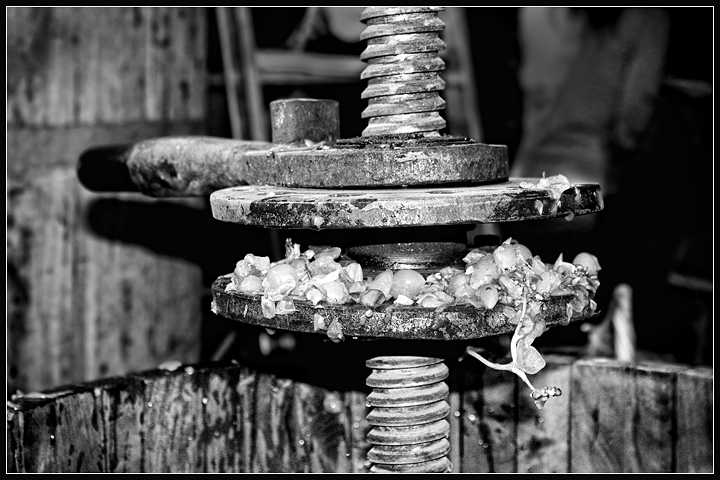 The Grape Press
