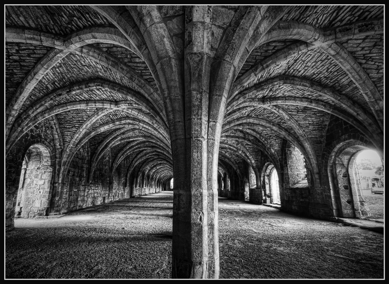 Cellarium #2 Mono