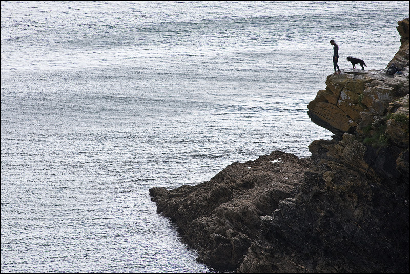 One Man and his Dog