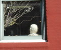 window2.JPG