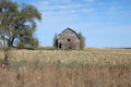 old barn and tree