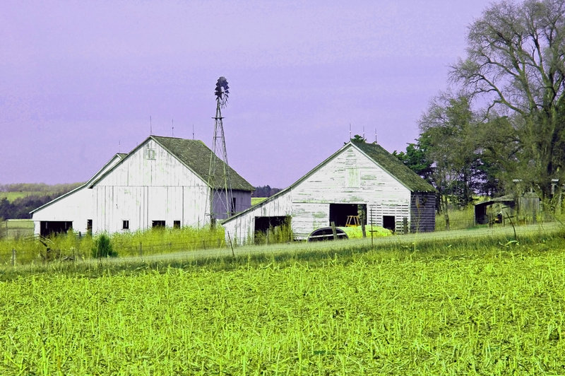 farm purple sky.jpg