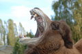 Zoo 1 316.jpg