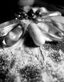 Pill flower.
