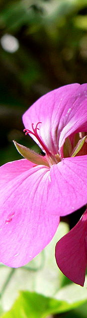 P1040026.jpg