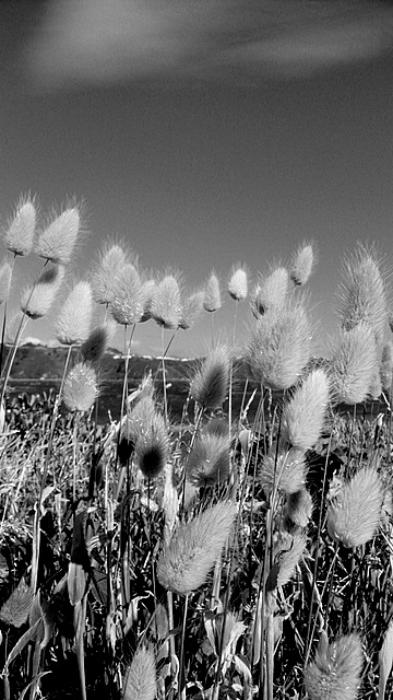 P1070600.JPG