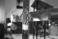 IMG_42221.JPG