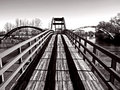 tridge b/w