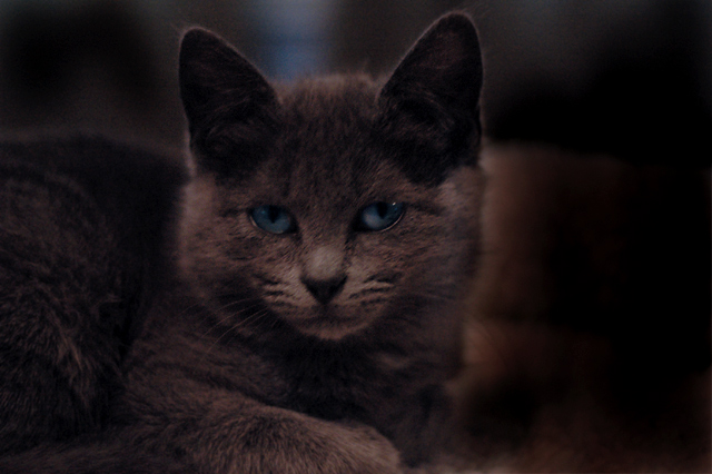 blue