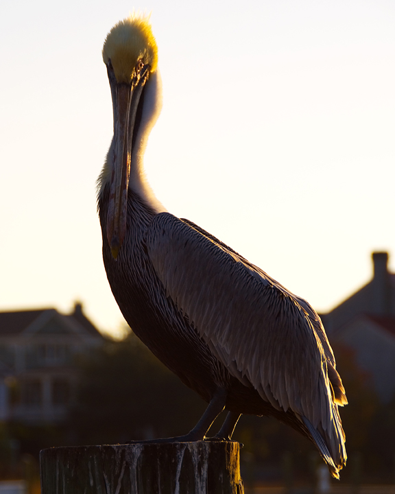 What're you looking at?