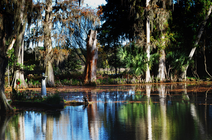 Swamp-SFW.jpg