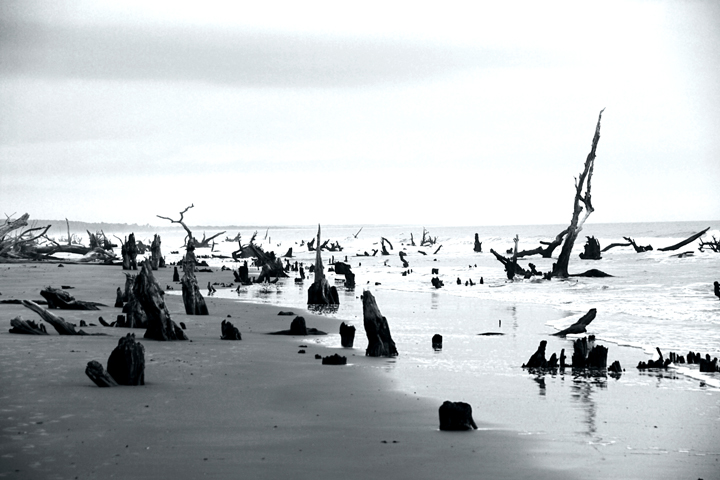 Capers-Beach.jpg