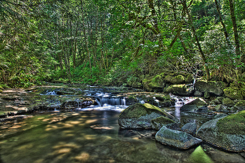 IMG_6331-HDR-SFW