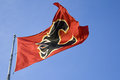 Day 12: Go Flames Go