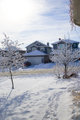 Day 14: Frosty morning, -28C and no way do I wana shovel the driveway.