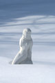 Day 17: Waiting for spring thaw