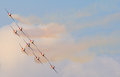IMG_4442.jpg