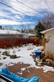 Day_06: My parents back yard, honestly looks sweet in the summer