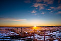 Day_13: Eastern sunrise over the prairies