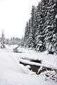 Day_26.1: Lotsa snow and fricken cold