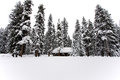 Day_31.1: Campsite closed due to 40"+ of snow :(