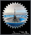 silver award.jpg