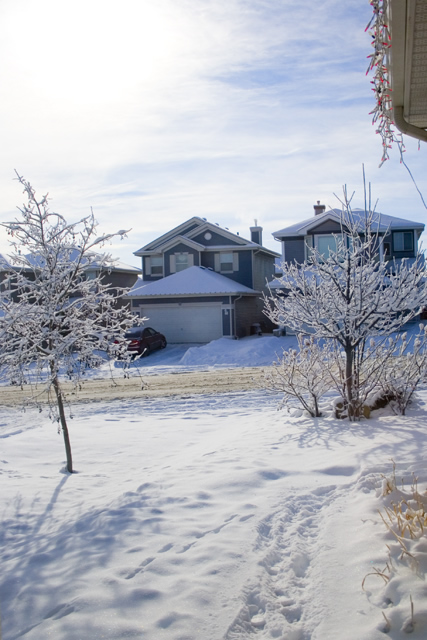 Day 14: Frosty morning, -28C and no way do I wana shovel the driveway.