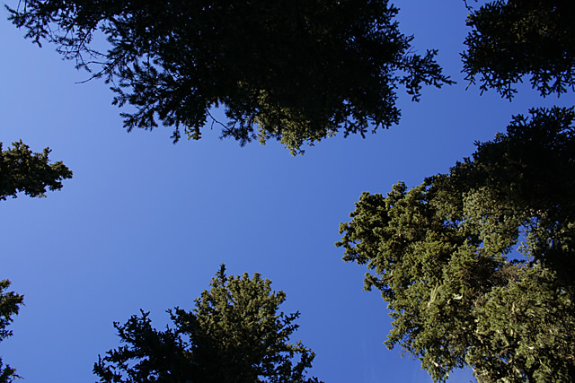 Day 15: out hiking