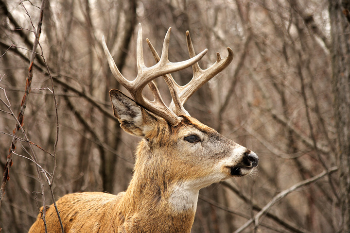 proud profile II.jpg