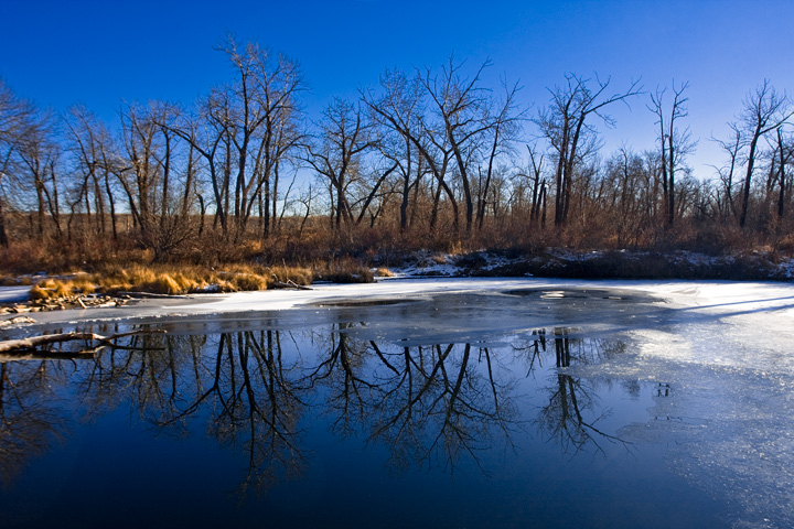 Day 12: Reflections of winter