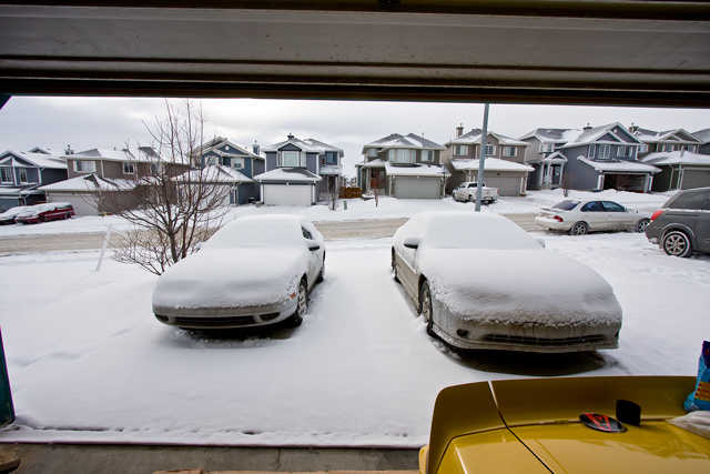 Day_19: Really Cold + Snow = Staying indoors