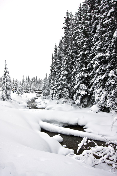 Day_26.1: Lotsa snow and fricken cold