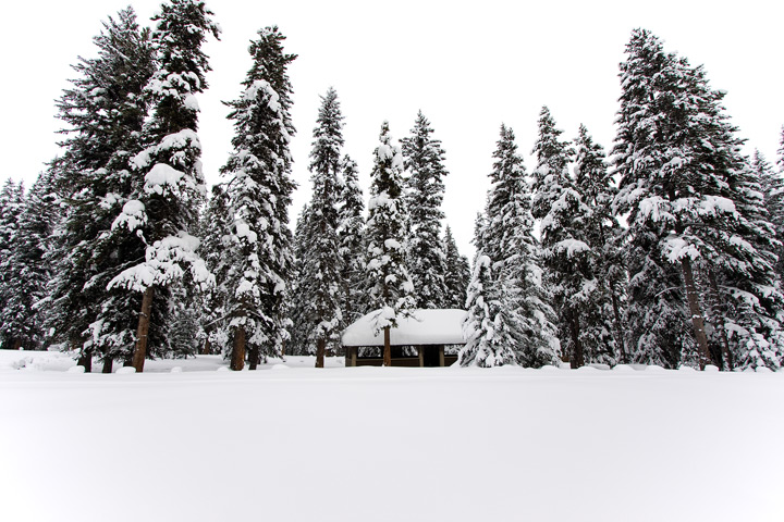 Day_31.1: Campsite closed due to 40"+ of snow :(