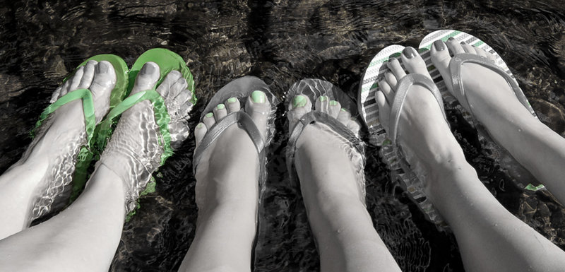 Green Envy