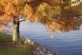 firstoutdoor-03.jpg