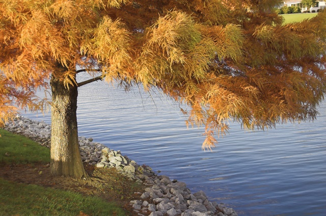 firstoutdoor-03.jpg