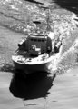 DSC_B&W1118.JPG